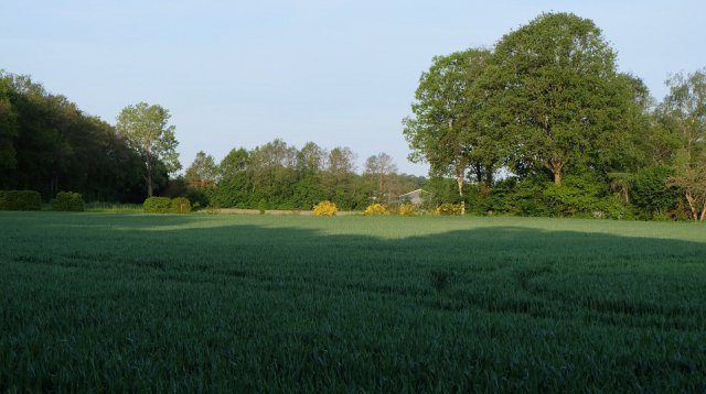 Dauwtrappen (donderdag 18 mei 2023)